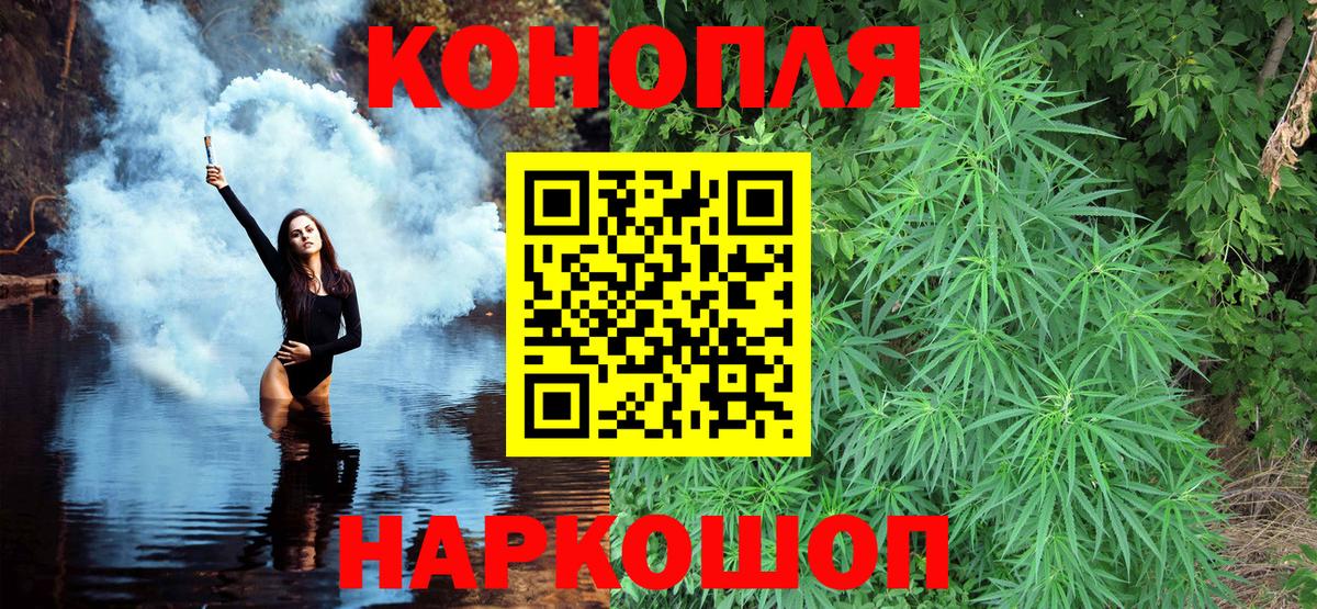 Бошки марихуана марихуана Моздок